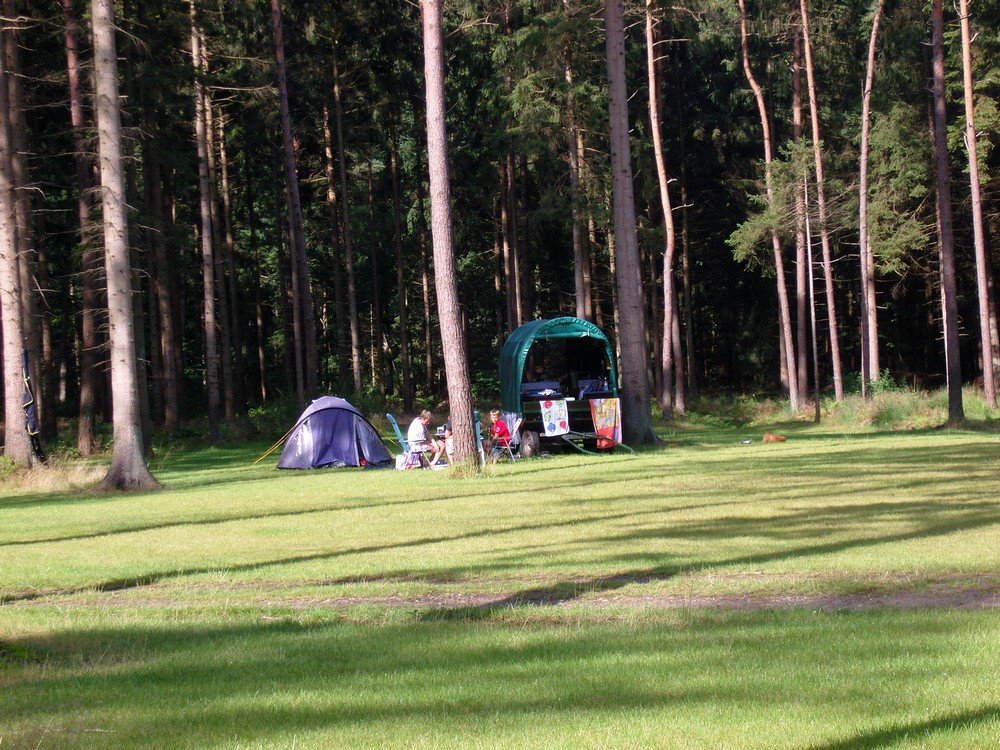 camping torentjeshoek drenthe0012